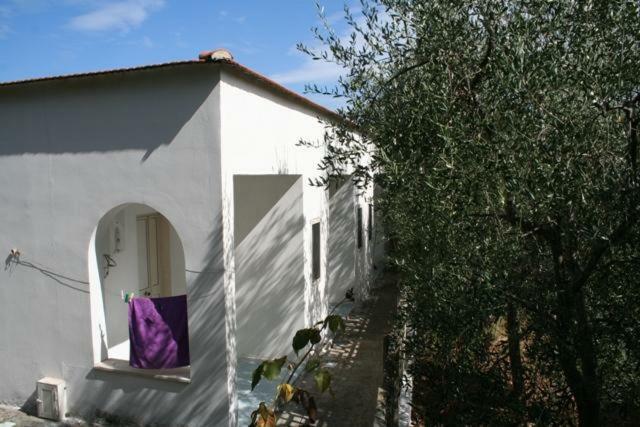 Ferienwohnung Casa Vacanze Pizzone Peschici Exterior foto